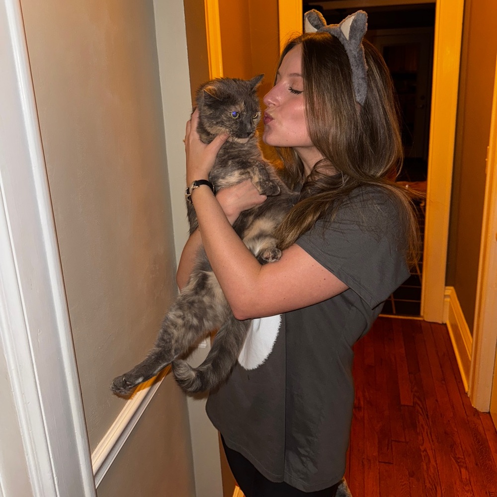Cat Costume T shirt